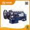 Shacman Weichai Wd615 Wd618 Wp10 Silnik kompletny ISO TS16949