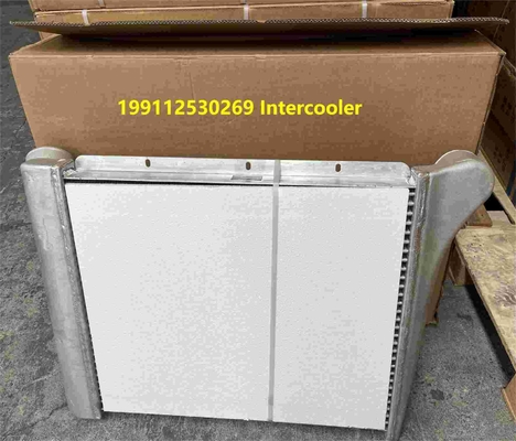 199112530269 Shacman Części ciężarówki Intercooler Zgromadzenie Shacman F3000 Części ciężarówki