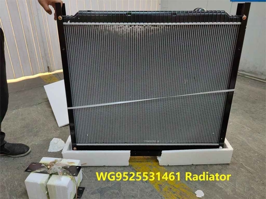 Radykator WG9525531461 HOWO Części samochodowe Intercooler